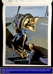 Dana-Bell-Corsair-Vol.-2_4