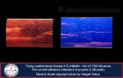 {"cameraPreset":7,"cameraType":"Wide","macroEnabled":false,"qualityMode":2,"deviceTilt":0.040864155242079203,"customExposureMode":1,"extendedExposure":false,"whiteBalanceProgram":0,"cameraPosition":1,"shootingMode":0,"focusMode":1}