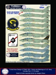 Furball-72-Tomcat-Colors-and-Markings-Pt.I_01