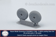 Kazan-48-F-4B_N-Landing-Gear_10