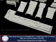Kazan-48-F-14-Spine-TAM_07