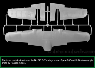 Do-215-B-5_4