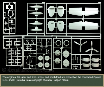 RoG-1.48-Ventura-Mk.-II_8