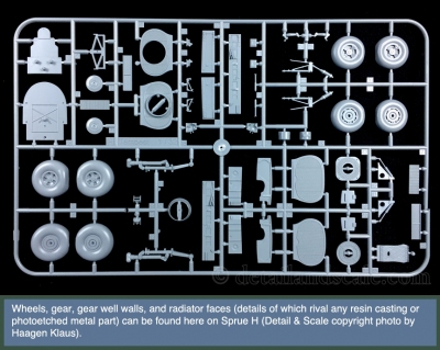 Special-Hobby-1.32-Tempest-Mk.-V_11