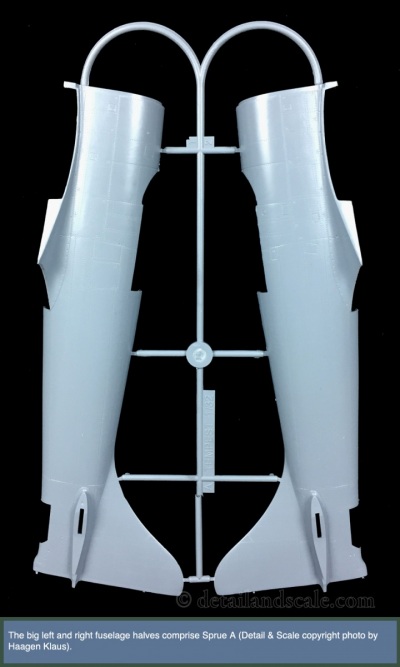 Special-Hobby-1.32-Tempest-Mk.-V_3