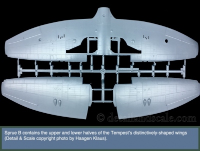 Special-Hobby-1.32-Tempest-Mk.-V_4