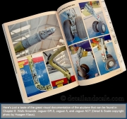 SAM-Publications-Jaguar_6
